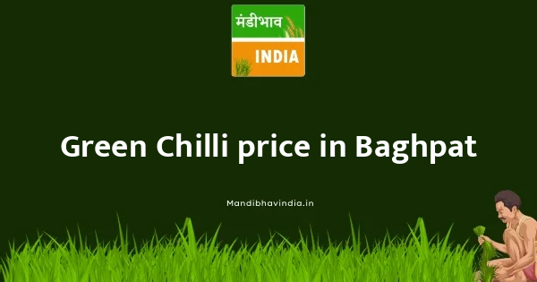 Green Chilli price